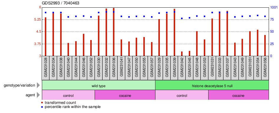 Gene Expression Profile