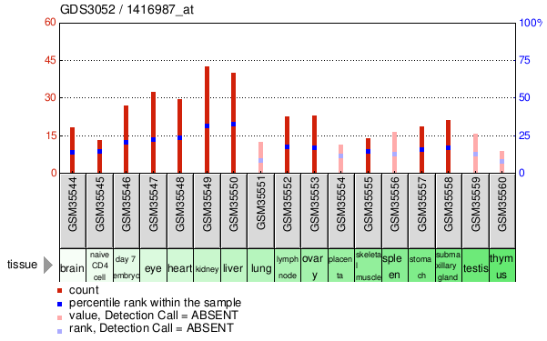 Gene Expression Profile