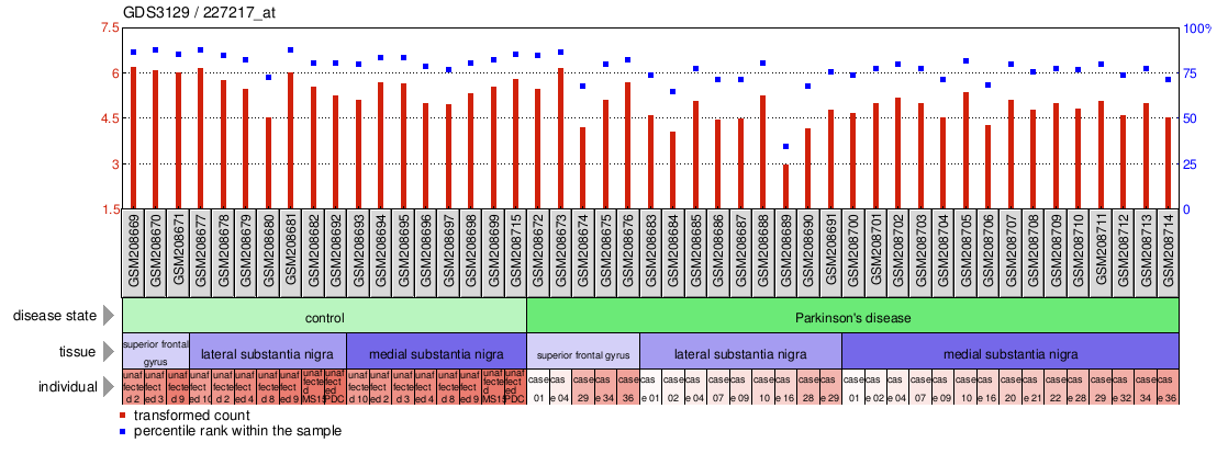 Gene Expression Profile