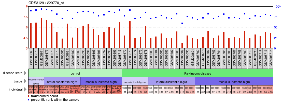 Gene Expression Profile