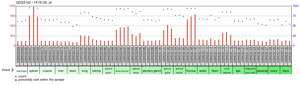 Gene Expression Profile