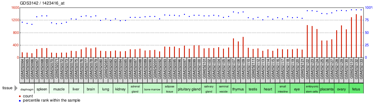 Gene Expression Profile