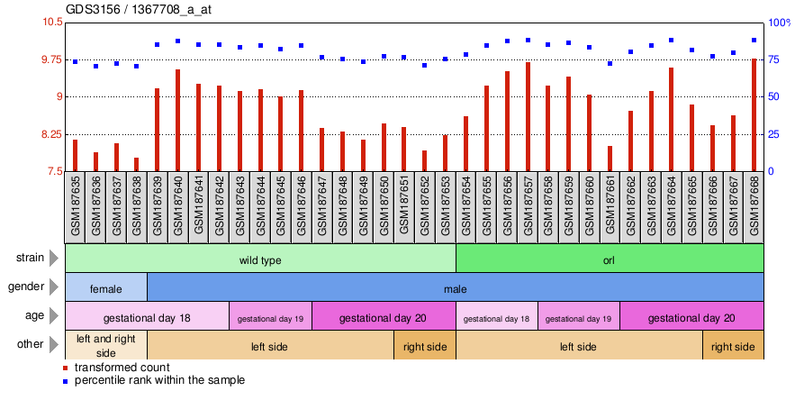 Gene Expression Profile