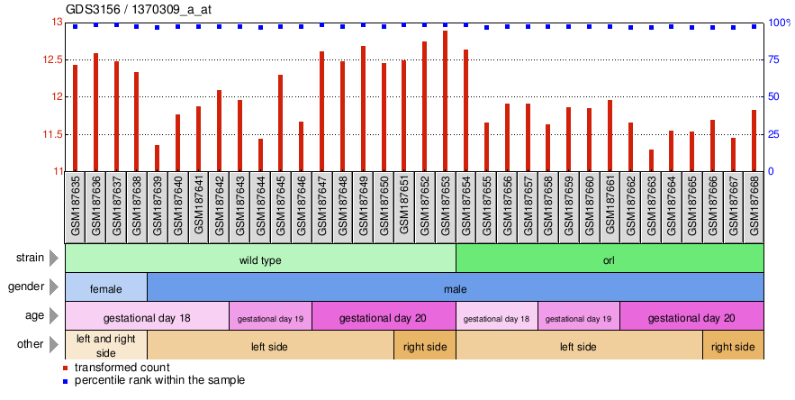 Gene Expression Profile