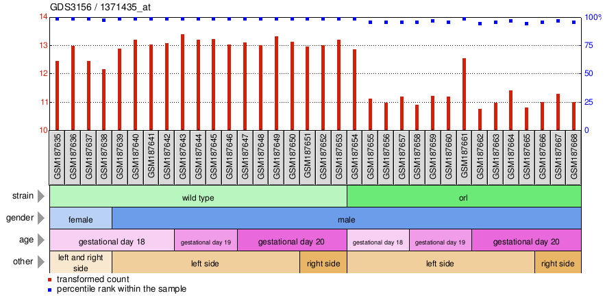 Gene Expression Profile