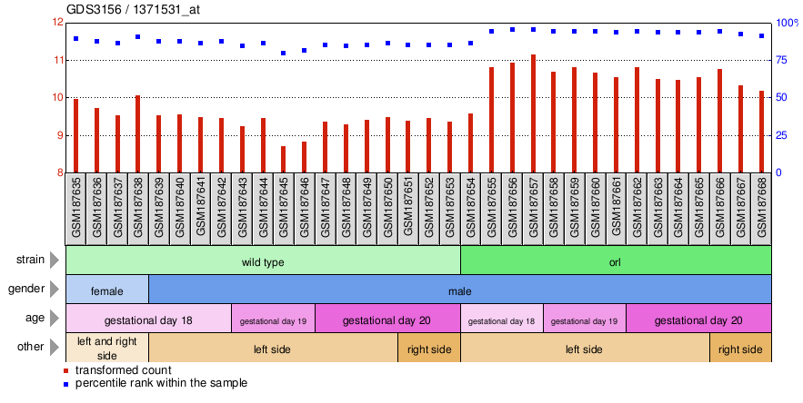 Gene Expression Profile