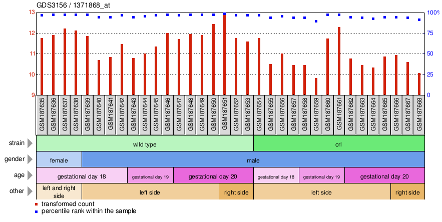 Gene Expression Profile