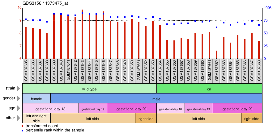 Gene Expression Profile