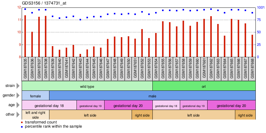 Gene Expression Profile