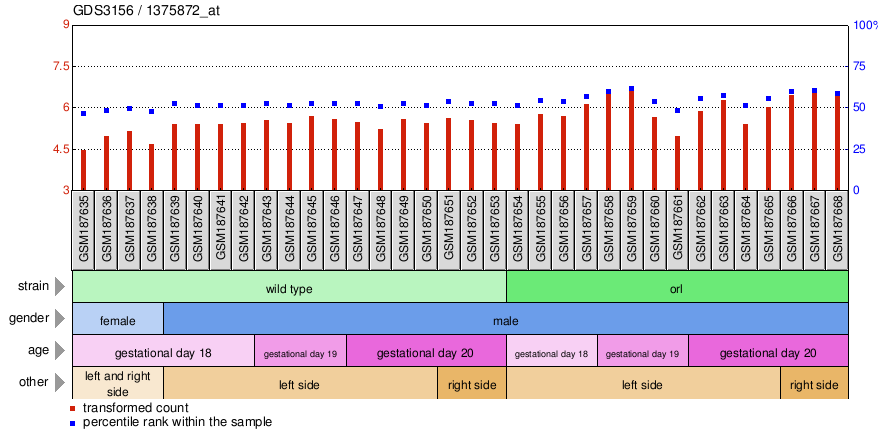 Gene Expression Profile