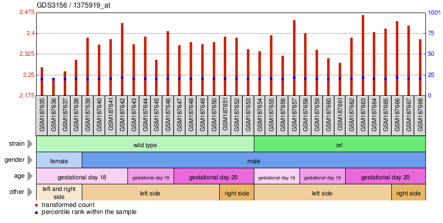 Gene Expression Profile