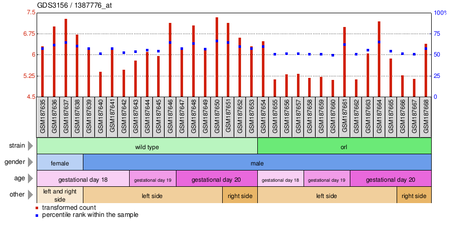 Gene Expression Profile