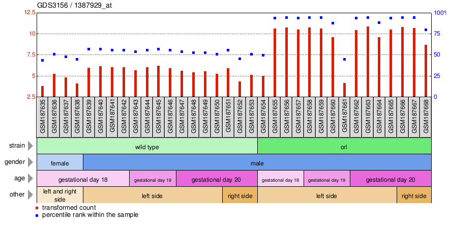 Gene Expression Profile