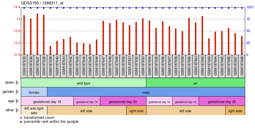 Gene Expression Profile