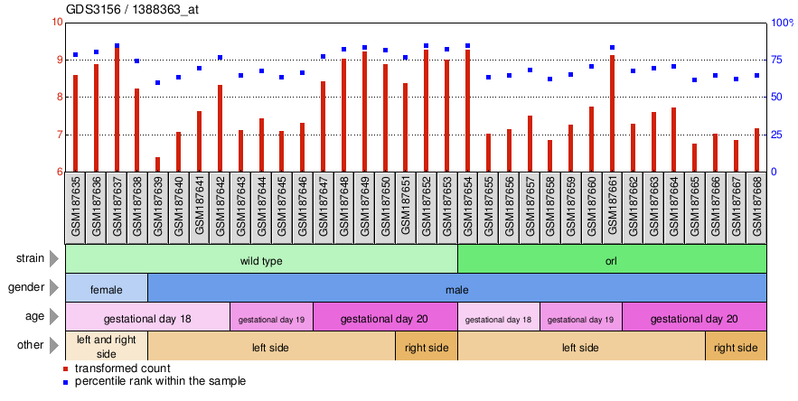 Gene Expression Profile