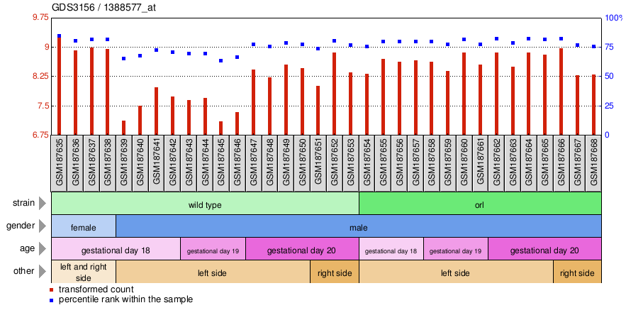 Gene Expression Profile