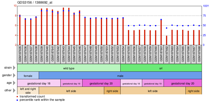 Gene Expression Profile