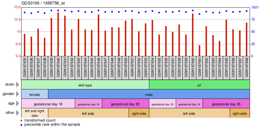 Gene Expression Profile