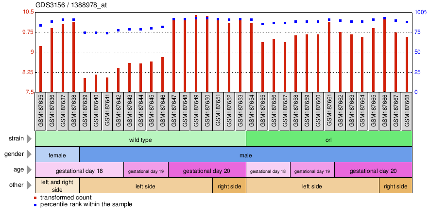 Gene Expression Profile