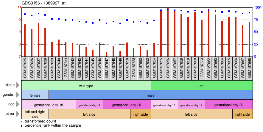 Gene Expression Profile