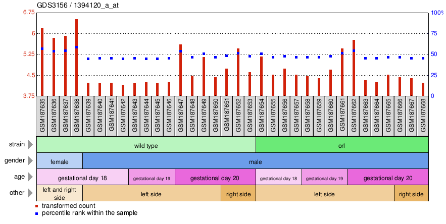 Gene Expression Profile