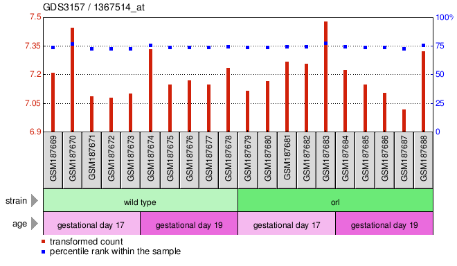 Gene Expression Profile