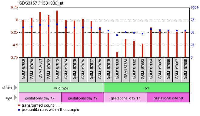 Gene Expression Profile