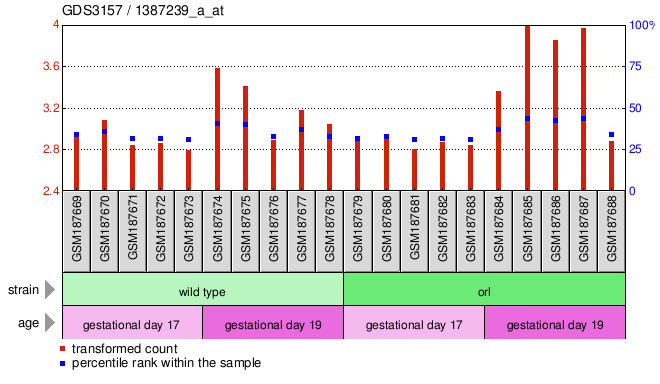 Gene Expression Profile