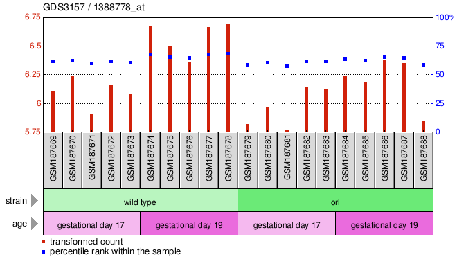 Gene Expression Profile