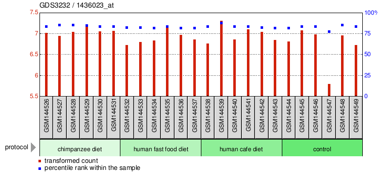 Gene Expression Profile