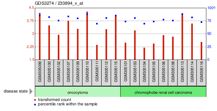 Gene Expression Profile