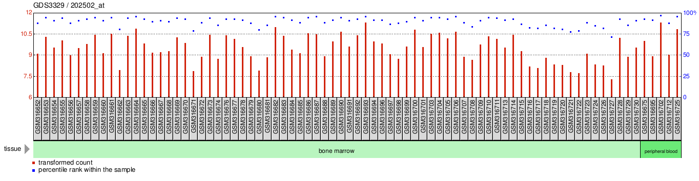 Gene Expression Profile