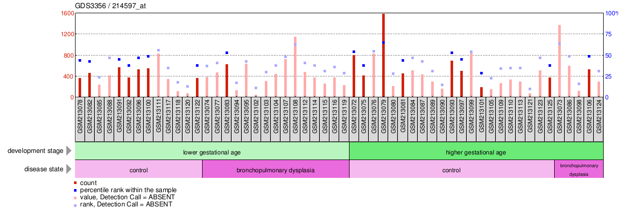 Gene Expression Profile