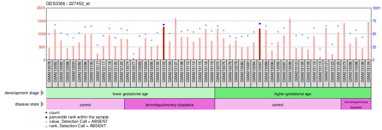 Gene Expression Profile