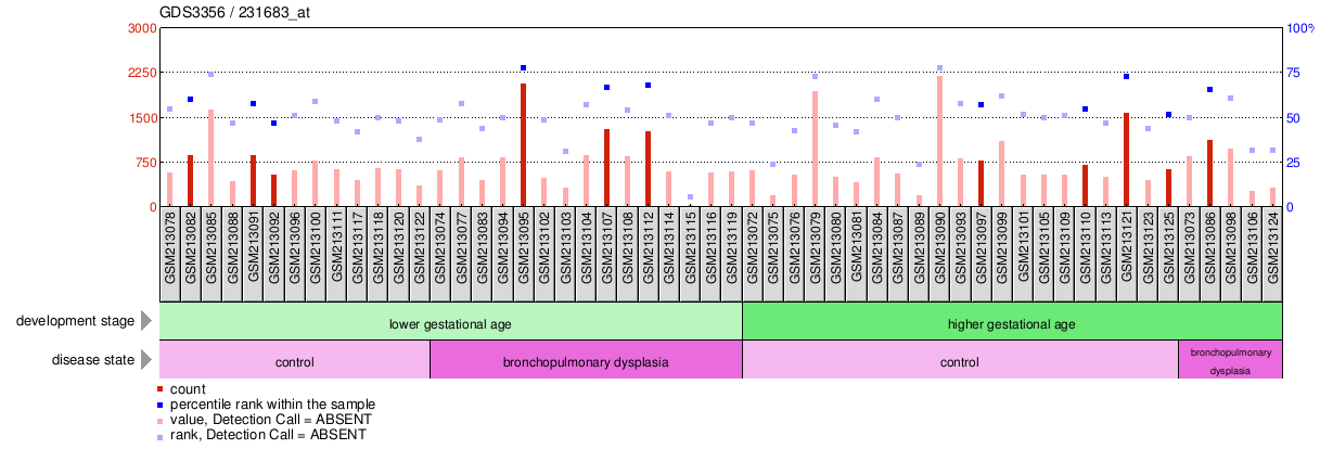 Gene Expression Profile