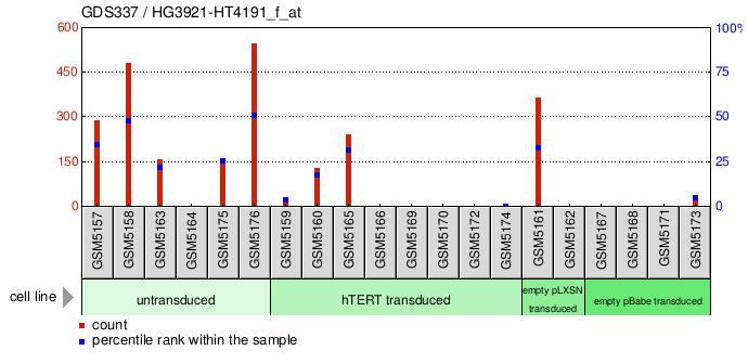 Gene Expression Profile