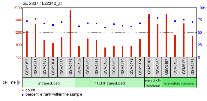 Gene Expression Profile