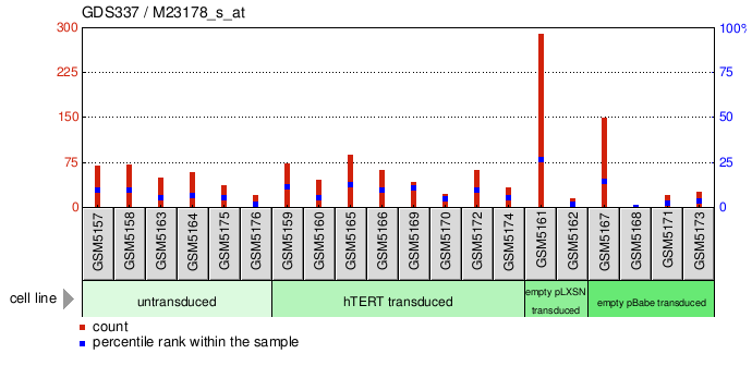 Gene Expression Profile