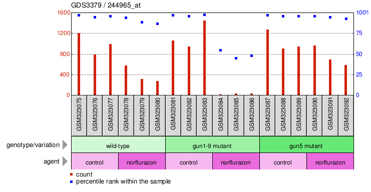 Gene Expression Profile