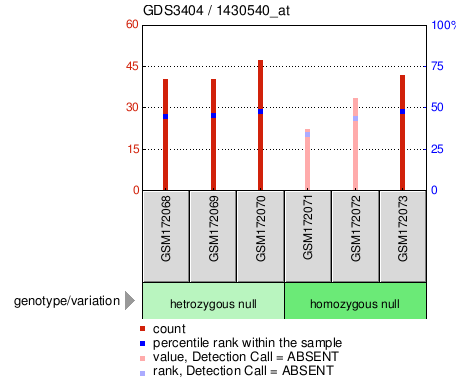 Gene Expression Profile