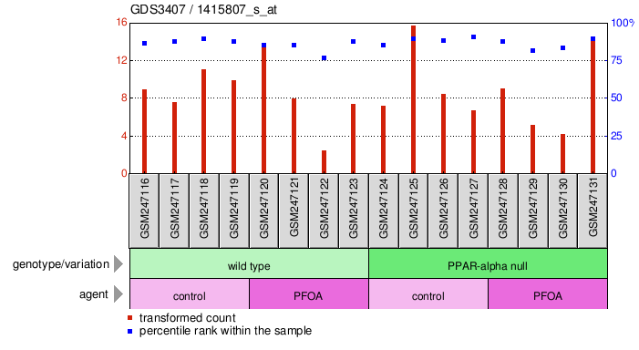 Gene Expression Profile