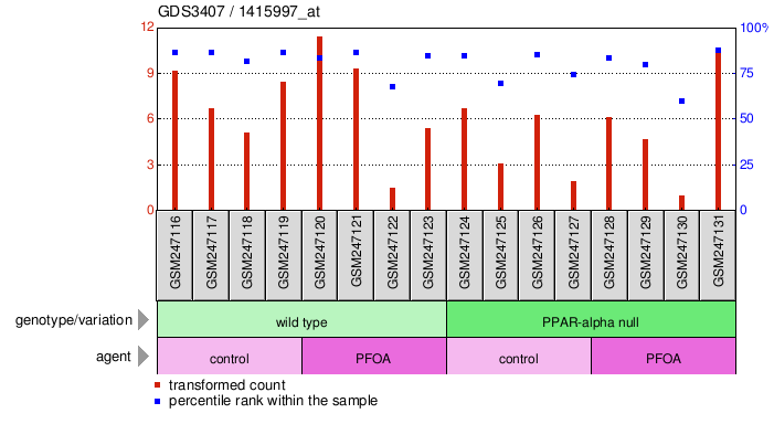 Gene Expression Profile