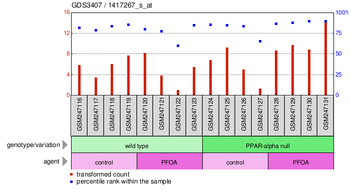 Gene Expression Profile