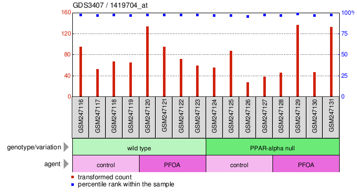 Gene Expression Profile