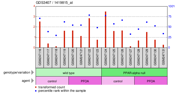 Gene Expression Profile