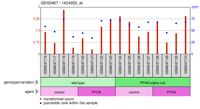 Gene Expression Profile