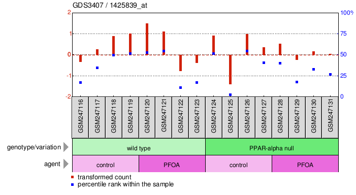 Gene Expression Profile