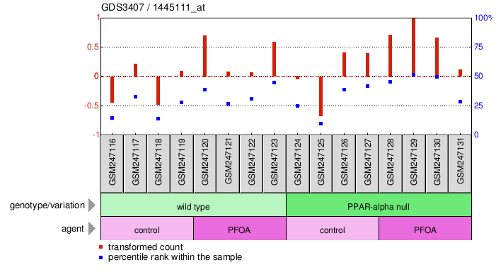 Gene Expression Profile