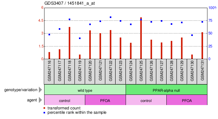 Gene Expression Profile