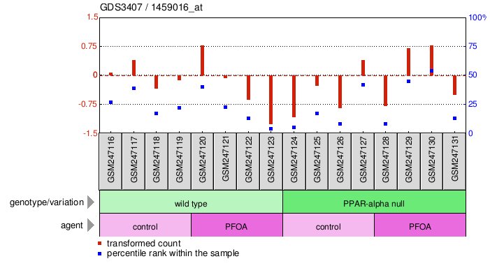 Gene Expression Profile